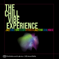 The Chill Vibe Experience